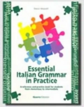 Image of Essential Italian Grammar Practice Paperback