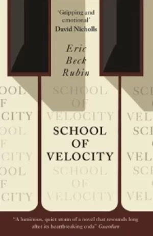 Image of School of velocity by Eric Beck Rubin