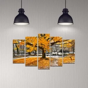 Image of 5DMDF-12 Multicolor Decorative MDF Painting (5 Pieces)