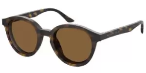 image of Seventh Street Sunglasses S313/CS Kids 086/SP