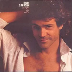 Image of Straight To The Heart by David Sanborn CD Album
