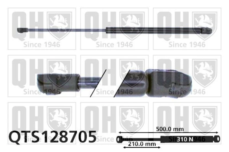 Image of QUINTON HAZELL Bonnet strut QUINTON HAZELL QTS128705