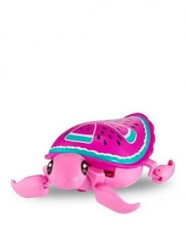 Image of Little Live Pets Turtle- Styles May Vary