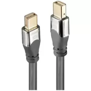 Image of LINDY Cable Mini DisplayPort plug, Mini DisplayPort plug 2m Grey 36307 DisplayPort cable