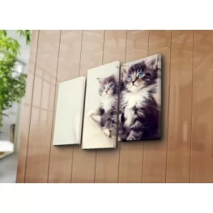 Image of 3NATPAT-20 Multicolor Decorative Canvas Painting (3 Pieces)