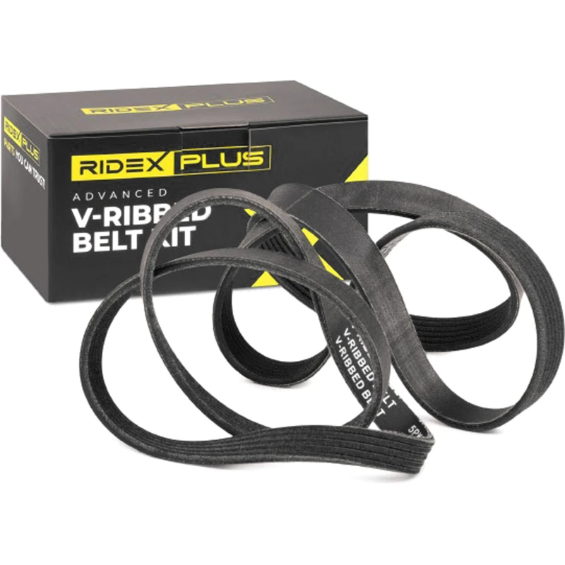 Image of RIDEX PLUS 542R0033P V-ribbed belt set V-Ribbed Belt Set (542)
