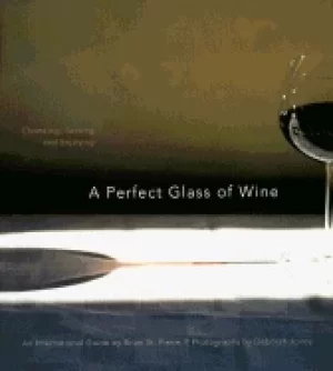 Image of perfect glass of wine choosing serving and enjoying