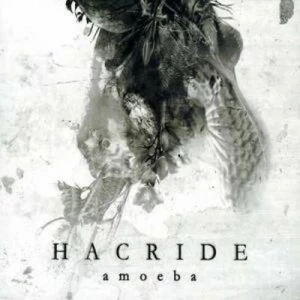 Image of Amoeba deluxe Slipcase by Hacride CD Album