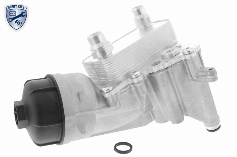 Image of Engine oil cooler VEMO V24-60-0022