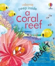 Image of Peep inside a Coral Reef
