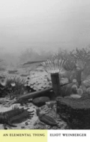 Image of elemental thing