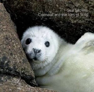 Image of Seal Secrets by Sue Sayer Paperback