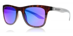 image of Puma Shibuya Sunglasses Tortoise / Clear Fade 003 51mm