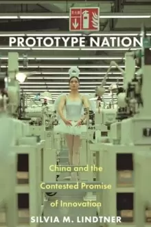 Image of Prototype Nation : China and the Contested Promise of Innovation