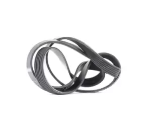 Image of Bosch V-ribbed belt BMW,OPEL,RENAULT 1 987 946 029 11287802186,11288510238,11288512248 11288575058,5750R2,9620550980,K9620550980,9620550980,98007135