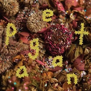 Image of PWR BTTM - Pageant Vinyl