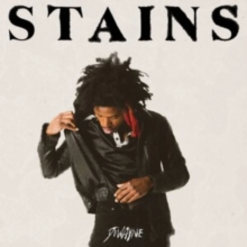Image of Stains Vinyl