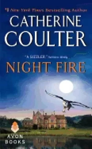 Image of night fire