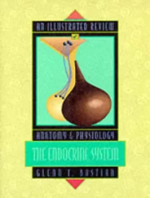Image of An illustrated review of the endocrine system by Glenn Bastian