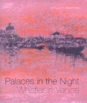 Image of palaces in the night whistler in venice