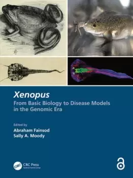 Image of Xenopus From Basic Biology to Disease Models in the Genomic Era
