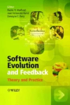 Image of software evolution and feedback theory and practice