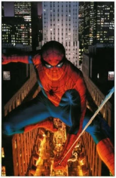 Image of Marvels. Eye of the Camera by Kurt Busiek Hardback