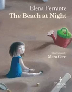 Image of beach at night