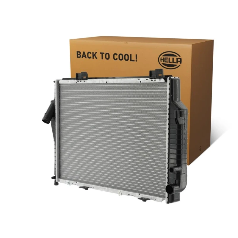 Image of HELLA Engine radiator HELLA 8MK 366 301-981