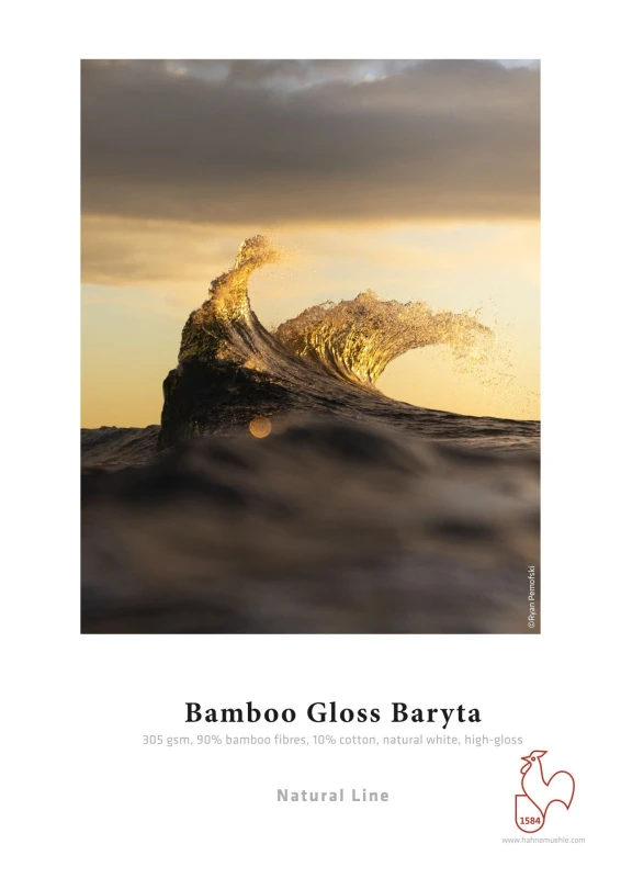 Image of 3PL BAMBOO GLOSS BARYTA-A3P 25S 305 10641861