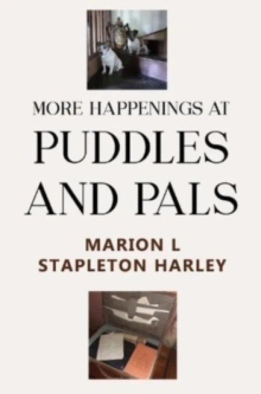 Image of More Happenings at PUDDLES AND PALS Paperback / softback