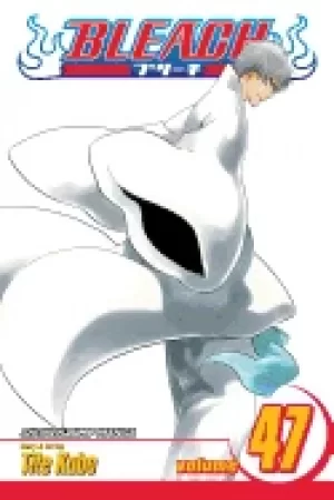 Image of bleach vol 47