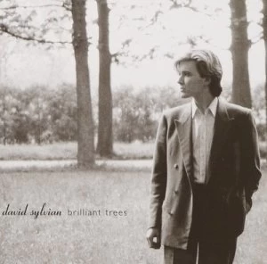 image of Brilliant Trees by David Sylvian CD Album