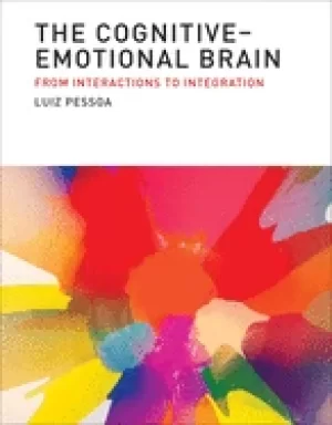 Image of cognitive emotional brain from interactions to integration