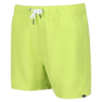 Image of Regatta Mawson Swim Shorts III - Bright Kiwi