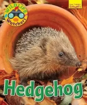 Image of Hedgehog by Ruth Owen