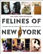 Image of felines of new york a glimpse into the lives of new yorks feline inhabitant