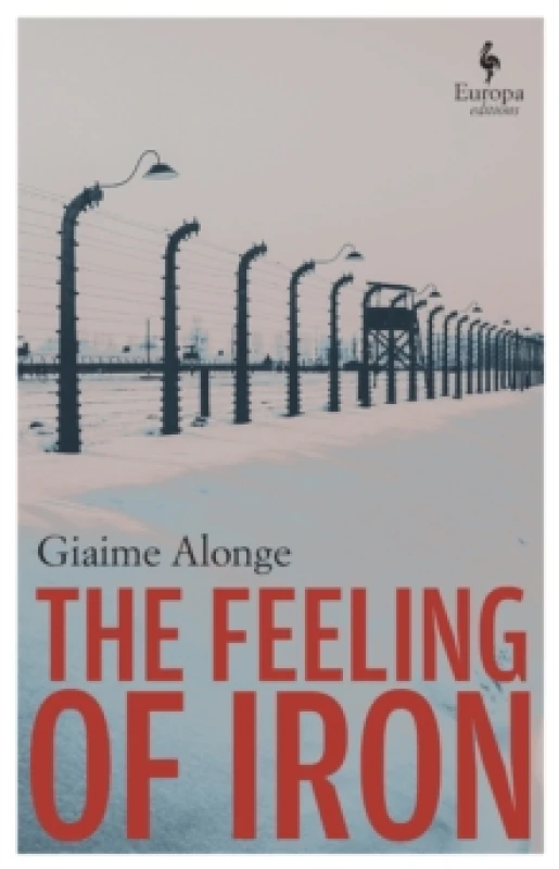 Image of The Feeling of Iron Paperback / softback