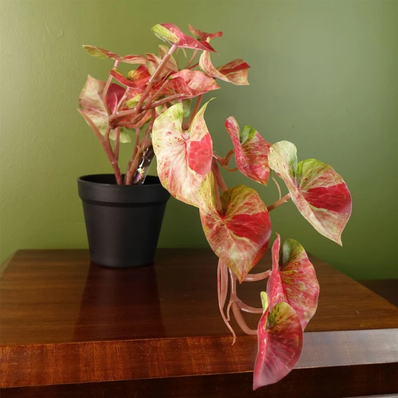 Image of Leaf Artificial Pink Caladium Potted Trailing Plant Botanik Pink