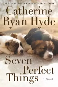 Image of Seven Perfect Things : A Novel