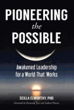 Image of pioneering the possible awakened leadership for a world that works