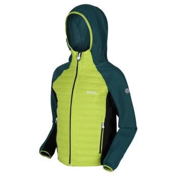 Image of Regatta Kielder Hybrid V Insulated Jacket - BrKiw/PacfGr