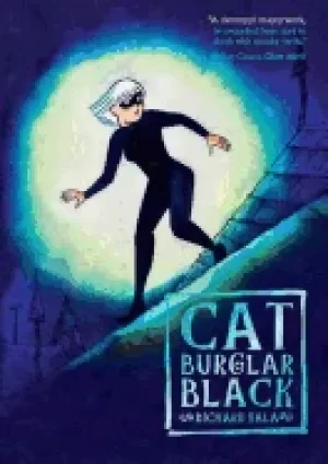 Image of cat burglar black