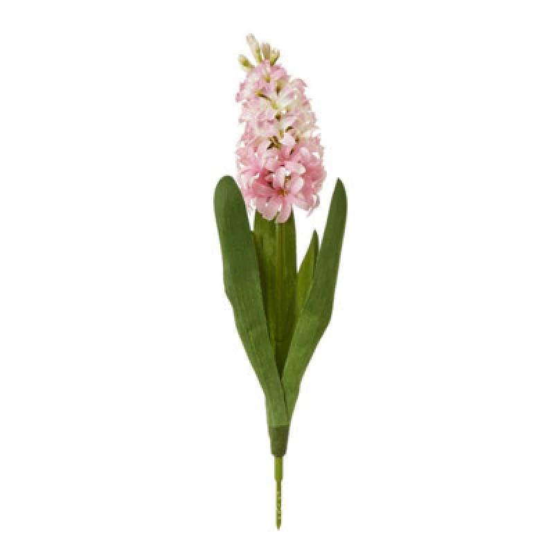 Image of Pink Hyacinth Stem