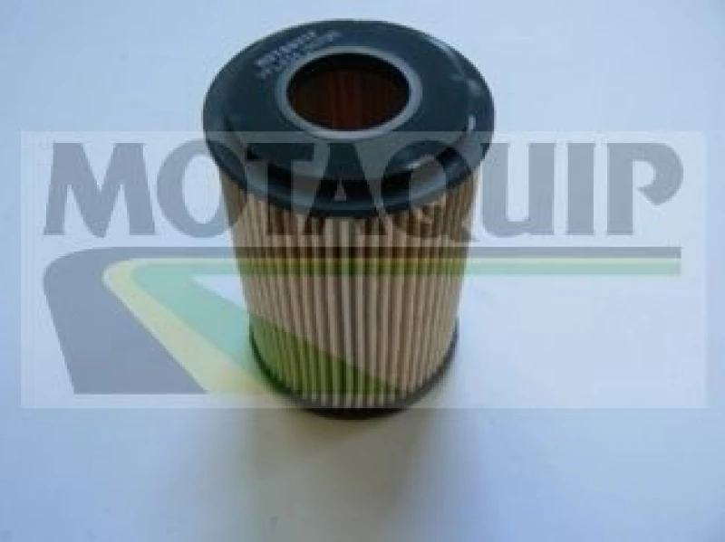 Image of MOTAQUIP Oil filter MOTAQUIP VFL434