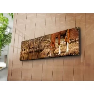 Image of 3090C-48 Multicolor Decorative Canvas Painting