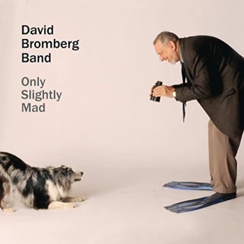 image of David Bromberg Band - Only Slightly Mad CD