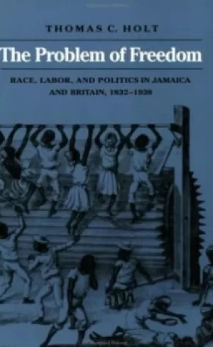 Image of The problem of freedom by Holt