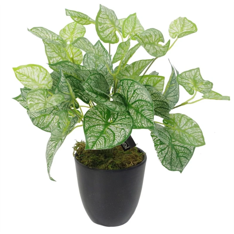Image of Leaf 40cm Artificial Caladium Plant with pot 5060532979811