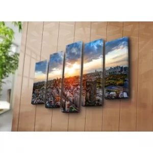 Image of 5NATPAT-49 Multicolor Decorative Canvas Painting (5 Pieces)